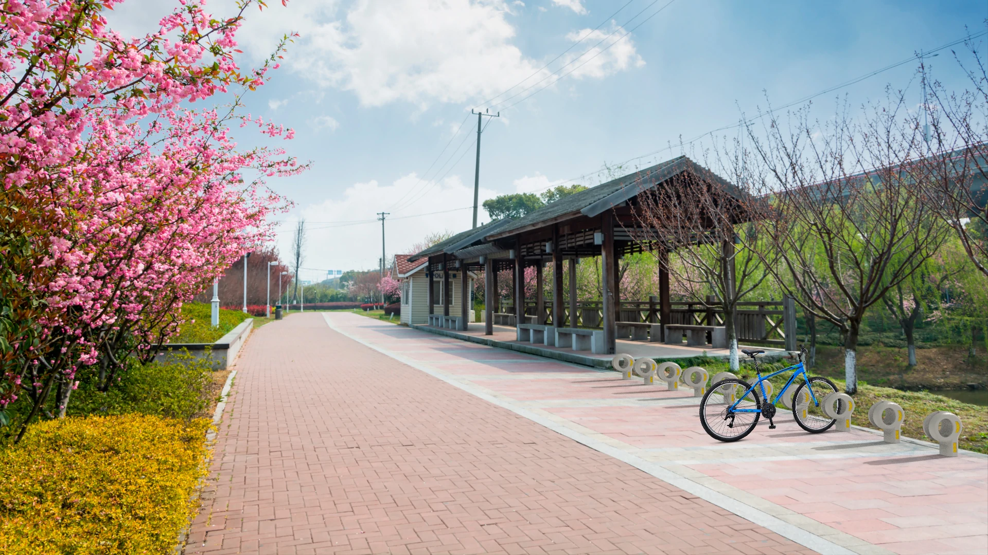 Bolardo Bicicleta